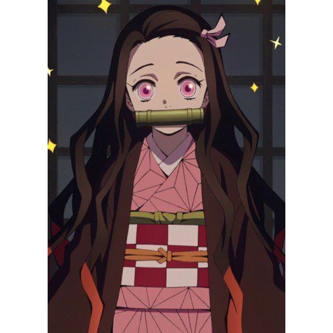 Kimetsu No Yaiba Kamado Nezuko Kimono