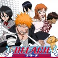 Bleach Manga