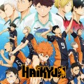 Haikyuu Manga